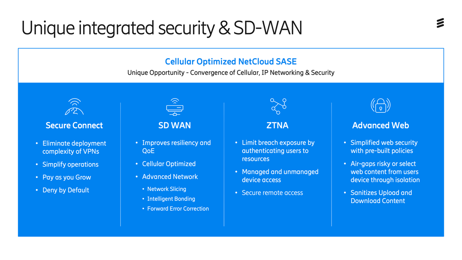 screenshot of NetCloud SASE